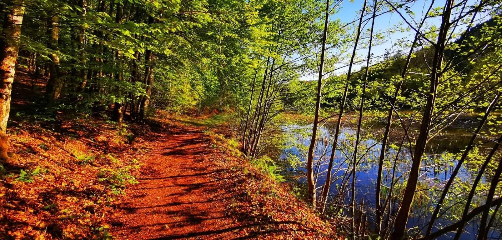Le Lac Des Moines Condat  エクステリア 写真