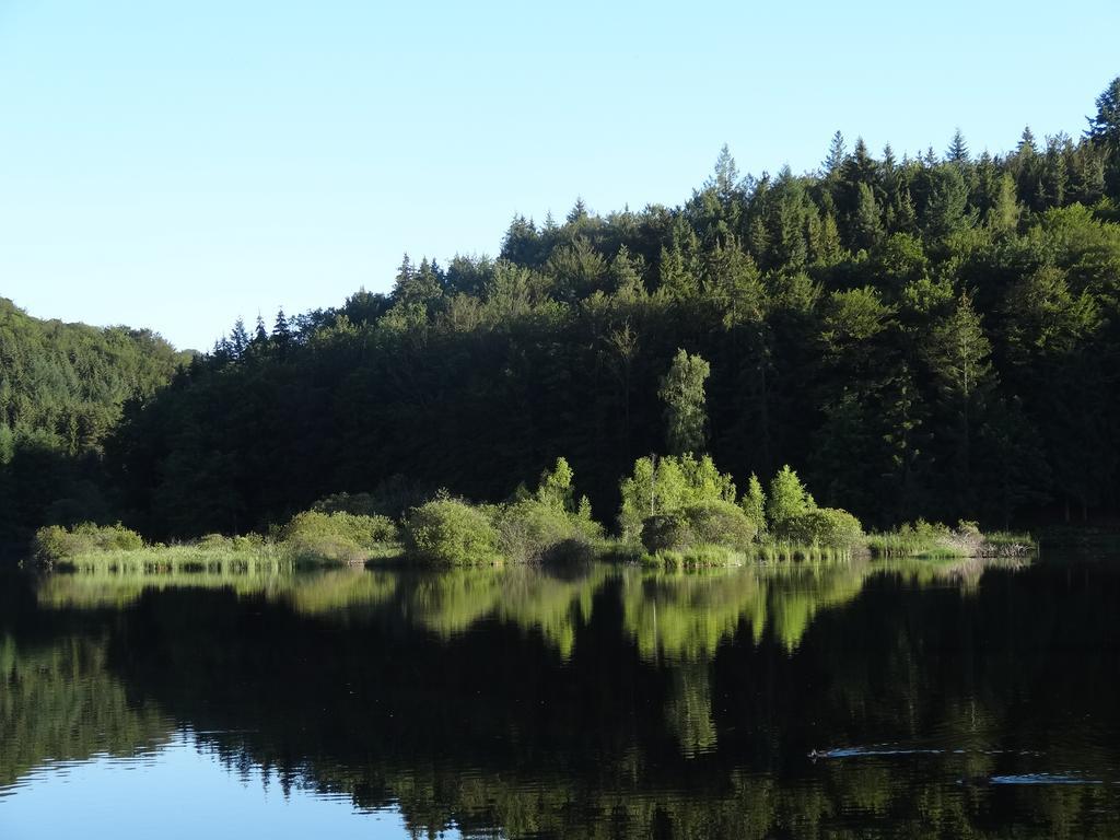 Le Lac Des Moines Condat  エクステリア 写真